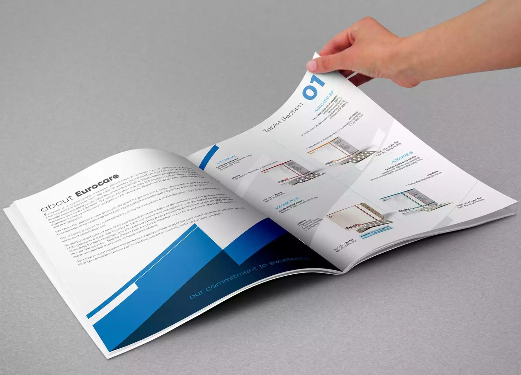 Lubex Lubricants brochure by Texas Print Design