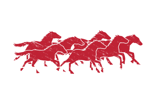 Texas Print Design